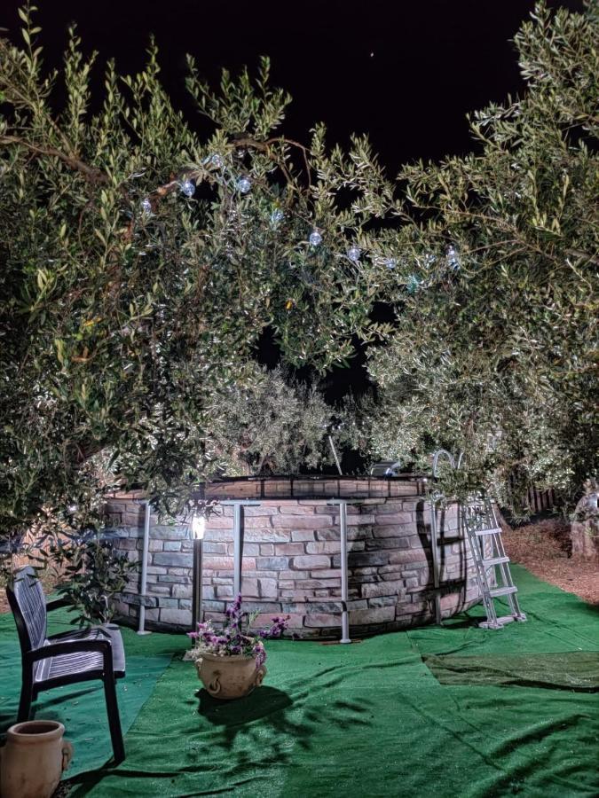 La casetta degli ulivi con piscina Menfi Esterno foto